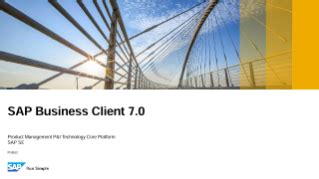 sap business client 7.0 training.